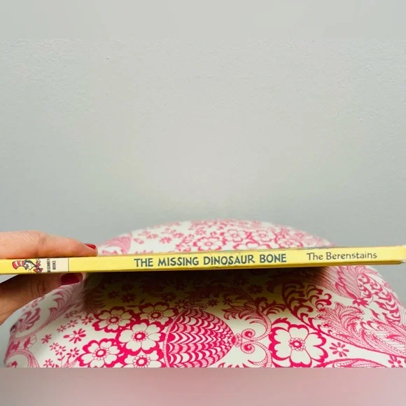 Vintage Children’s Book · The Berenstain Bears and the Missing Dinosaur Bone (19 - Picture 5 of 7